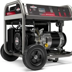 5500W Portable Gas Generator
