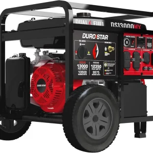 Dual Fuel Portable Generator