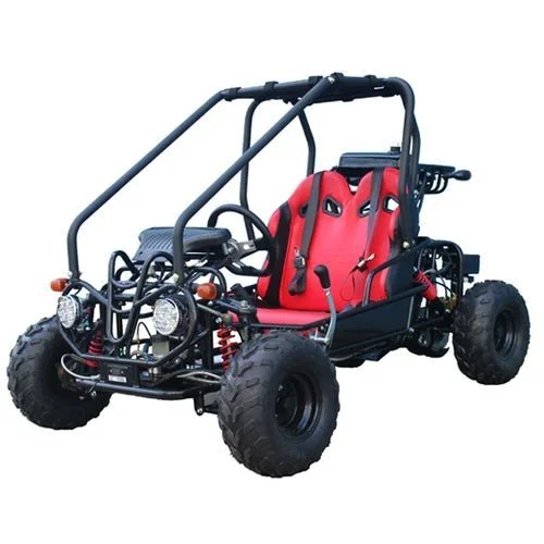 Kids Gas Go Kart Dune Buggy