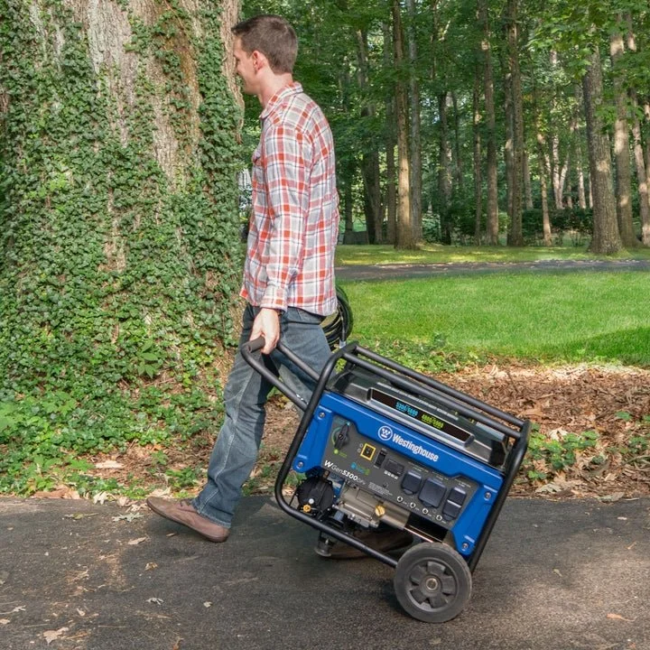 Dual Fuel Portable Generator - Image 5