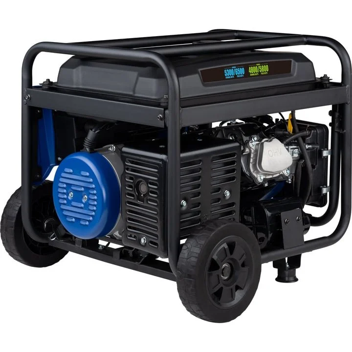 Dual Fuel Portable Generator - Image 3