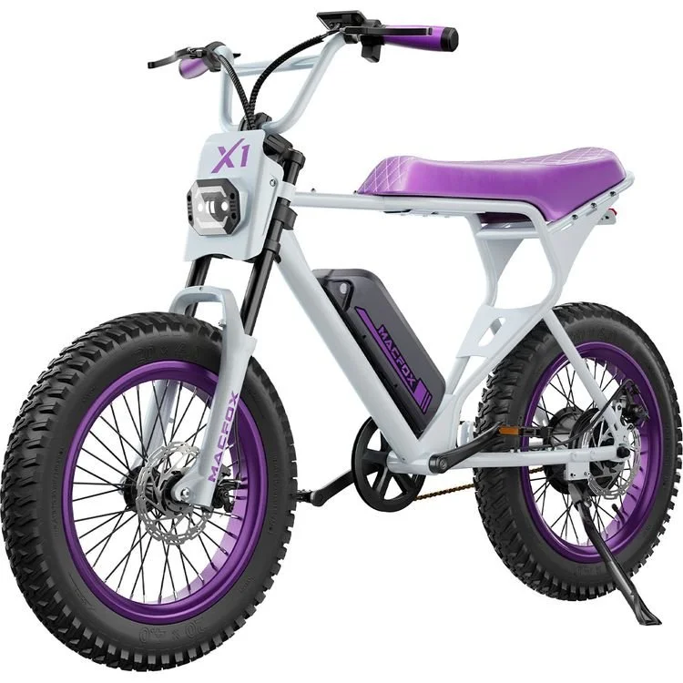 Electric Bike for Adults
