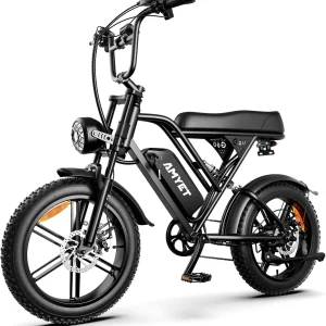 Peak Power Electric Bike for Adults