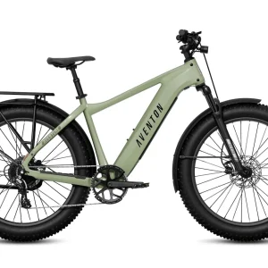 Fat Tire Electric Bike for Adults