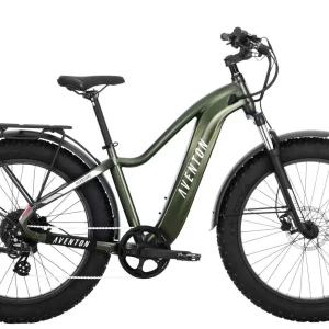 Fat Tire All-Terrain Electric Bike for Adults