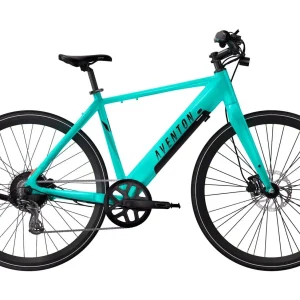Lightweight Single-Speed Electric Bike