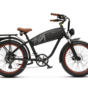 Retro Style Electric Bike