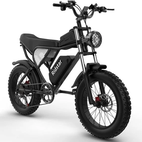 1500W 48V Fat Tire Electric Bike with 7-Speed Gears, 20 Inch