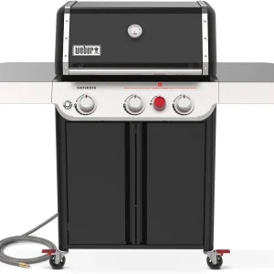 Freestanding Gas Grill