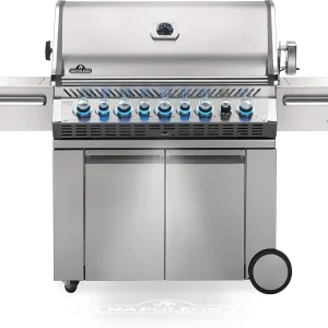 5-Burner Propane Gas Grill