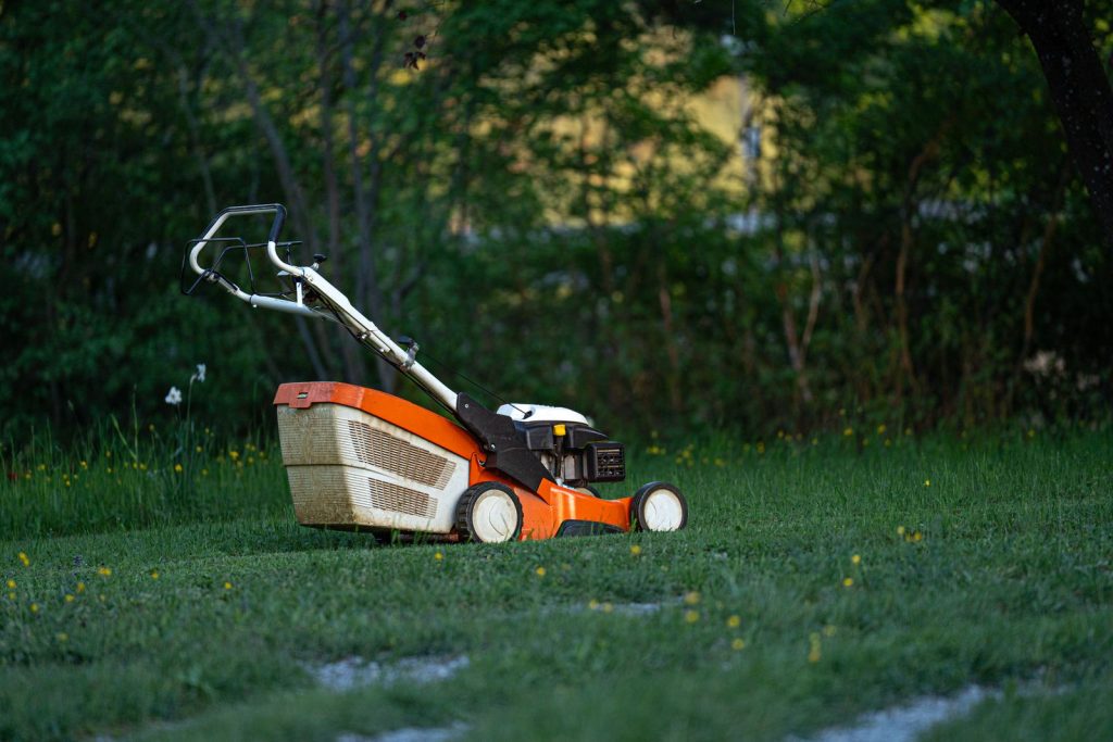 Mowing a lawn in the garden