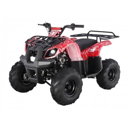 125cc Kids ATV