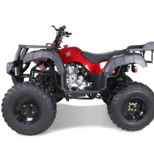 250cc Adult Utility ATV