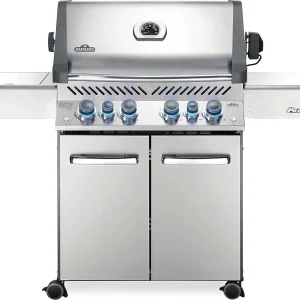 4-Burner Propane Gas Grill
