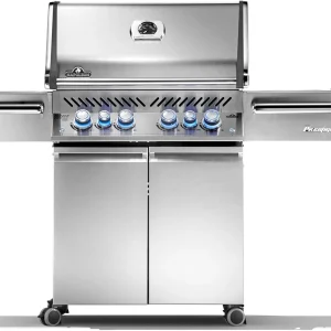 Freestanding Professional Gas Grill